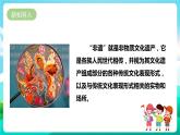 湘科版综合实践活动六年级1.《我是“非遗”小传人》课件+教案+素材