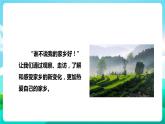 湘科版综合实践活动六年级2.《我看家乡新变化》课件+教案+素材