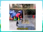 湘科版综合实践活动六年级5.《社区公益服务我参与》课件+教案+素材