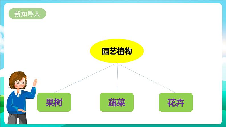 湘科版综合实践活动六年级11.《体验园艺植物栽培技术》课件第3页