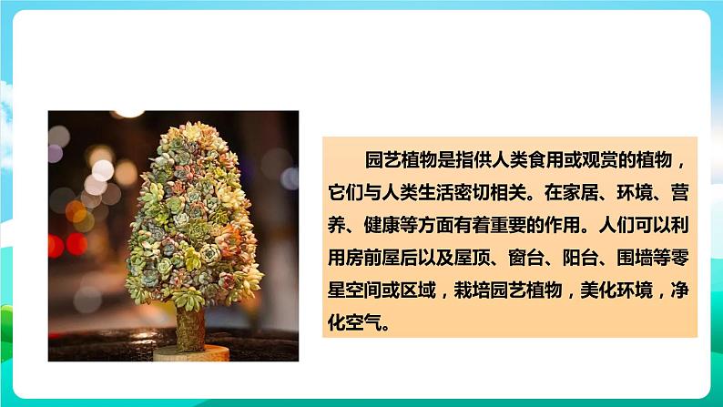 湘科版综合实践活动六年级11.《体验园艺植物栽培技术》课件第6页