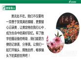 湘科版综合实践活动五年级7.《 镜头下的美丽世界》课件+ 教案