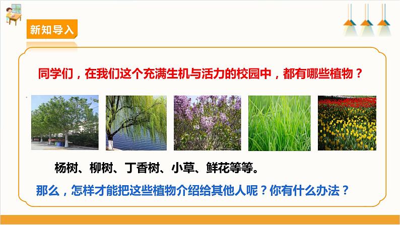 【沪科·黔科版】三上综合实践  植物园里乐淘淘 活动一《校园植物导览手册》课件+教案03