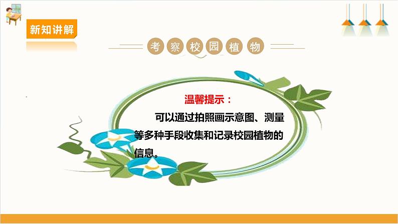 【沪科·黔科版】三上综合实践  植物园里乐淘淘 活动一《校园植物导览手册》课件+教案08