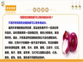 【沪科·黔科版】三上综合实践  植物园里乐淘淘 活动三《七彩染坊》课件+教案+素材