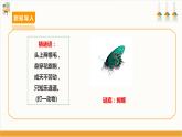 【沪科·黔科版】三上综合实践  探访昆虫世界 活动二《昆虫保护宣传画》课件+教案