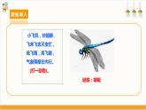 【沪科·黔科版】三上综合实践  探访昆虫世界 活动二《昆虫保护宣传画》课件+教案