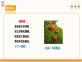 【沪科·黔科版】三上综合实践  探访昆虫世界 活动三《瓢虫知多少》课件+教案