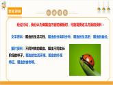 【沪科·黔科版】三上综合实践  探访昆虫世界 活动三《瓢虫知多少》课件+教案