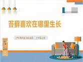 【沪科·黔科版】三上综合实践  植物园里乐淘淘 活动二《苔藓喜欢在哪里生长》课件+教案