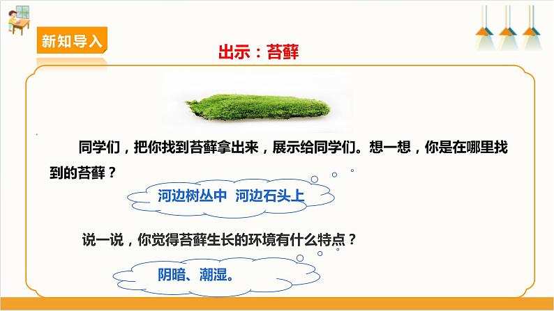 【沪科·黔科版】三上综合实践  植物园里乐淘淘 活动二《苔藓喜欢在哪里生长》课件+教案03