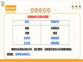 【沪科·黔科版】三上综合实践  植物园里乐淘淘 活动二《苔藓喜欢在哪里生长》课件+教案