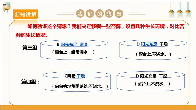 【沪科·黔科版】三上综合实践  植物园里乐淘淘 活动二《苔藓喜欢在哪里生长》课件+教案06