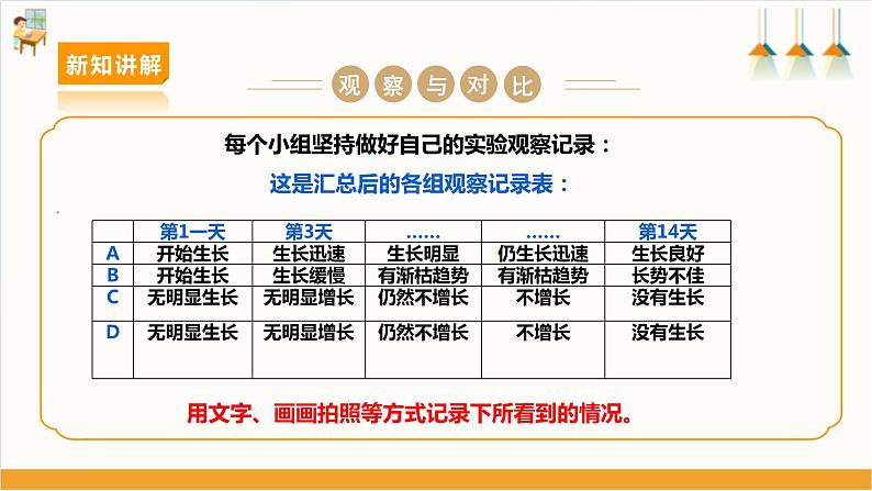 【沪科·黔科版】三上综合实践  植物园里乐淘淘 活动二《苔藓喜欢在哪里生长》课件+教案08