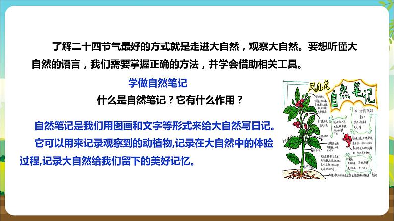 湘科版综合实践活动三年级1.《 跟着节气去探究》课件+教案+素材07