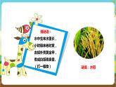 湘科版综合实践活动三年级3.《关爱身边的动植物》课件+教案