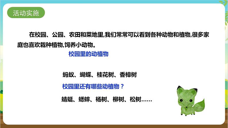 湘科版综合实践活动三年级3.《关爱身边的动植物》课件第6页