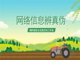 湘科版综合实践活动三年级8.《网络信息辨真伪》课件+教案