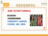 【沪科·黔科版】四上综合实践  蔬菜宝贝的秘密 活动二《蔬菜保鲜揭秘》课件+教案