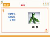 【沪科·黔科版】四上综合实践  蔬菜宝贝的秘密  活动三《 爱上吃蔬菜 》 课件+教案+素材