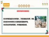 【沪科·黔科版】六上综合实践  面对地质灾害 第二课《泥石流脱险我知道》课件+教案+素材