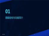 (2024年)《爱护眼睛保护视力》PPT课件