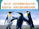 2.我是尊老敬老好少年课件PPT