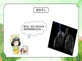 粵教版四年級上冊綜合實踐第5單元《香煙與健康》PPT課件