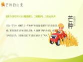 二十四节气之芒种节气由来介绍PPT模板