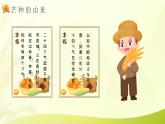 二十四节气之芒种节气由来介绍PPT模板