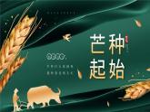 绿色中国传统二十四节气芒种PPT