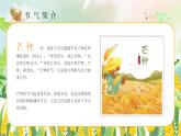 黄色卡通二十四节气芒种介绍PPT模板