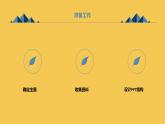 最新沪科黔科版小学六上综合实践活动欢乐圣诞节活动二圣诞大联欢（课件）