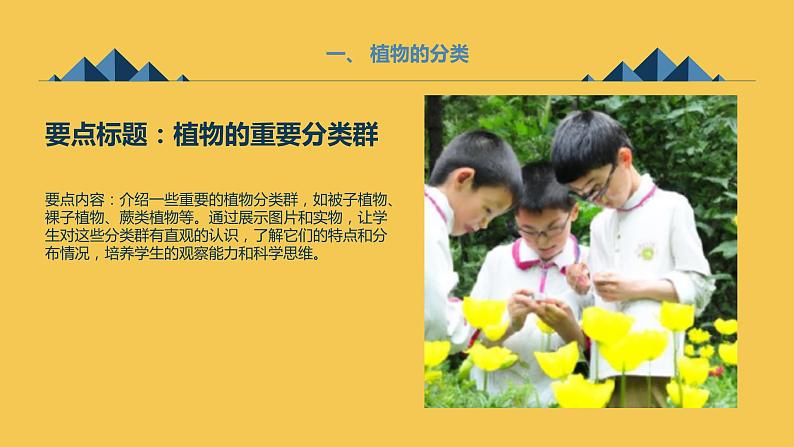 安徽大学版小学三年级上册综合实践活动 第1课探寻植物王国（课件）第7页