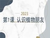 安徽大学版小学三年级上册综合实践活动第1课认识植物朋友（课件）