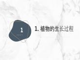 安徽大学版小学三年级上册综合实践活动第1课认识植物朋友（课件）