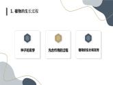 安徽大学版小学三年级上册综合实践活动第1课认识植物朋友（课件）