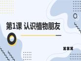 安徽大学版小学三年级上册综合实践活动第1课认识植物朋友【课件】