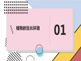安徽大学版小学三年级上册综合实践活动第1课认识植物朋友【课件】