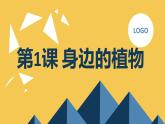 安徽大学版小学三年级上册综合实践活动第1课身边的植物（课件）