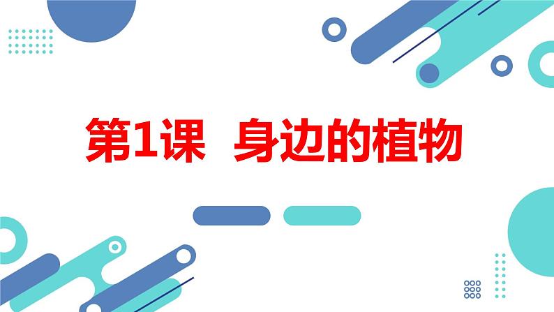 安徽大学版小学三年级上册综合实践活动第1课身边的植物【课件】第1页