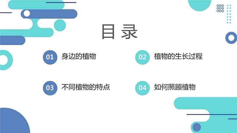 安徽大学版小学三年级上册综合实践活动第1课身边的植物【课件】第2页