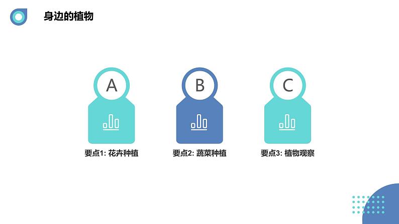 安徽大学版小学三年级上册综合实践活动第1课身边的植物【课件】第4页