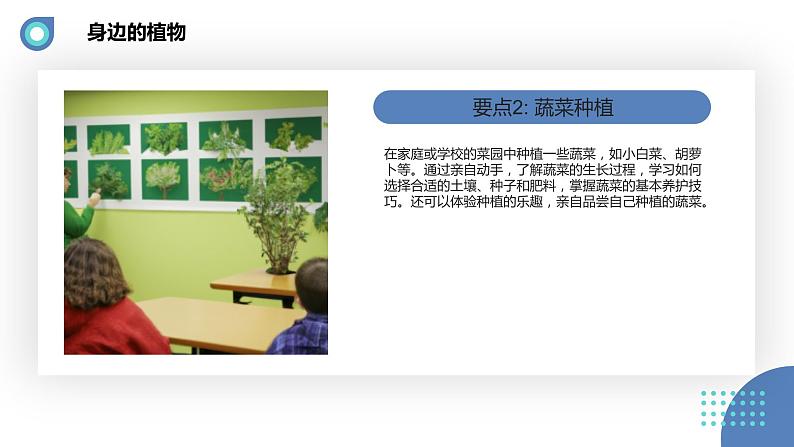 安徽大学版小学三年级上册综合实践活动第1课身边的植物【课件】第6页