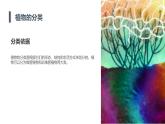安徽大学版小学三年级上册综合实践活动第1课探寻植物王国（课件）