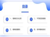 安徽大学版小学三年级上册综合实践活动第1课探寻植物王国【课件】