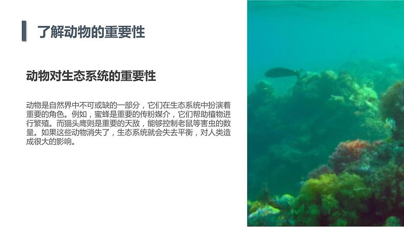 安徽大学版小学三年级下册综合实践活动1保护动物（课件）第5页