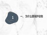 安徽大学版小学三年级下册综合实践活动第1课保护动物【课件】