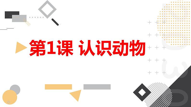 安徽大学版小学三年级下册综合实践活动第1课认识动物【课件】第1页