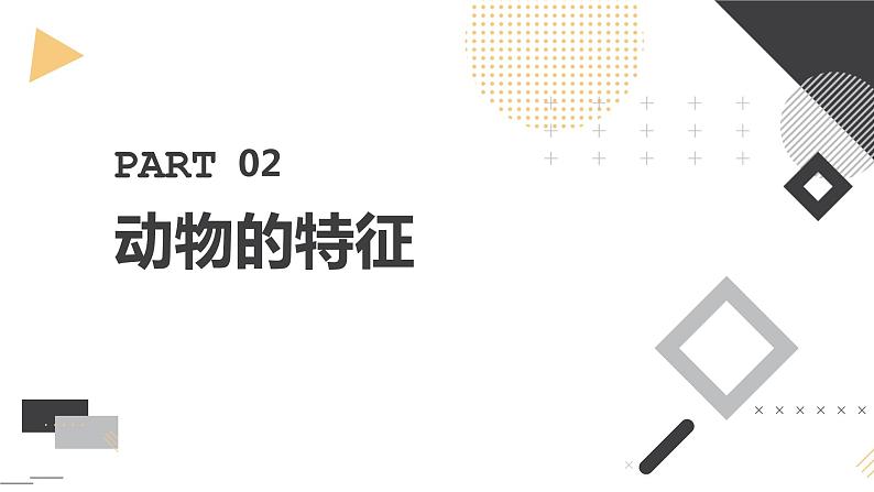 安徽大学版小学三年级下册综合实践活动第1课认识动物【课件】第8页